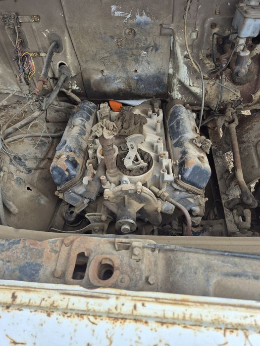 Ассенизатор газон