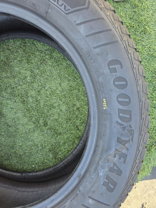225 55 19 goodyear all seasson
