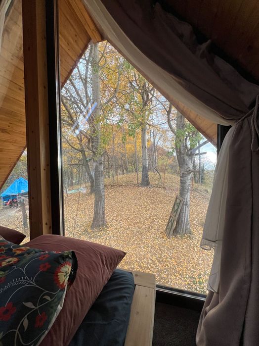 Cabana de închiriat zona Buila/Vânturarita