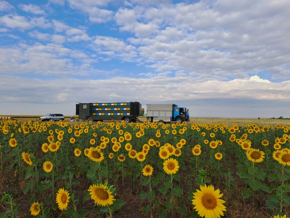 Маз в хорошем состоянии