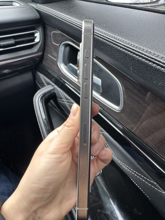 Iphone 15 pro max 256 gb