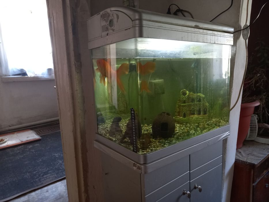 Продам Аквариум с рыбками