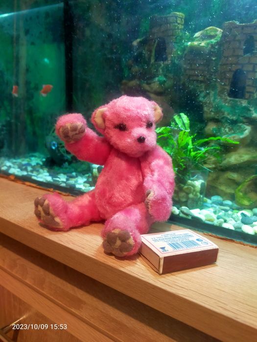 Прикольная милашка мишутка