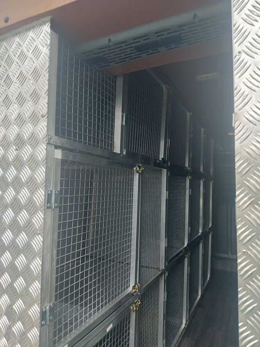 Echipez mașini transport câini