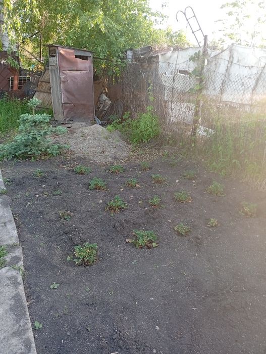 Продам дачу в новой-бухтарме
