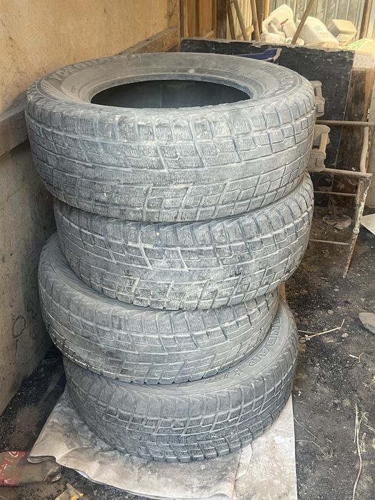 Балондар наурызда тур