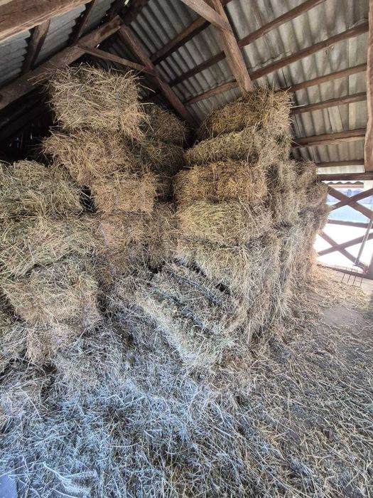 Vând baloți lucernă și fân – 15 lei/balot – Cuca, Argeș