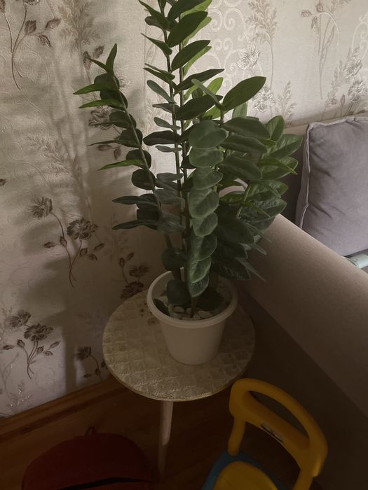 искусственные  цветы хорошего качества
