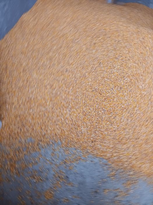 Vând, porumb mai multe detalii la telefon