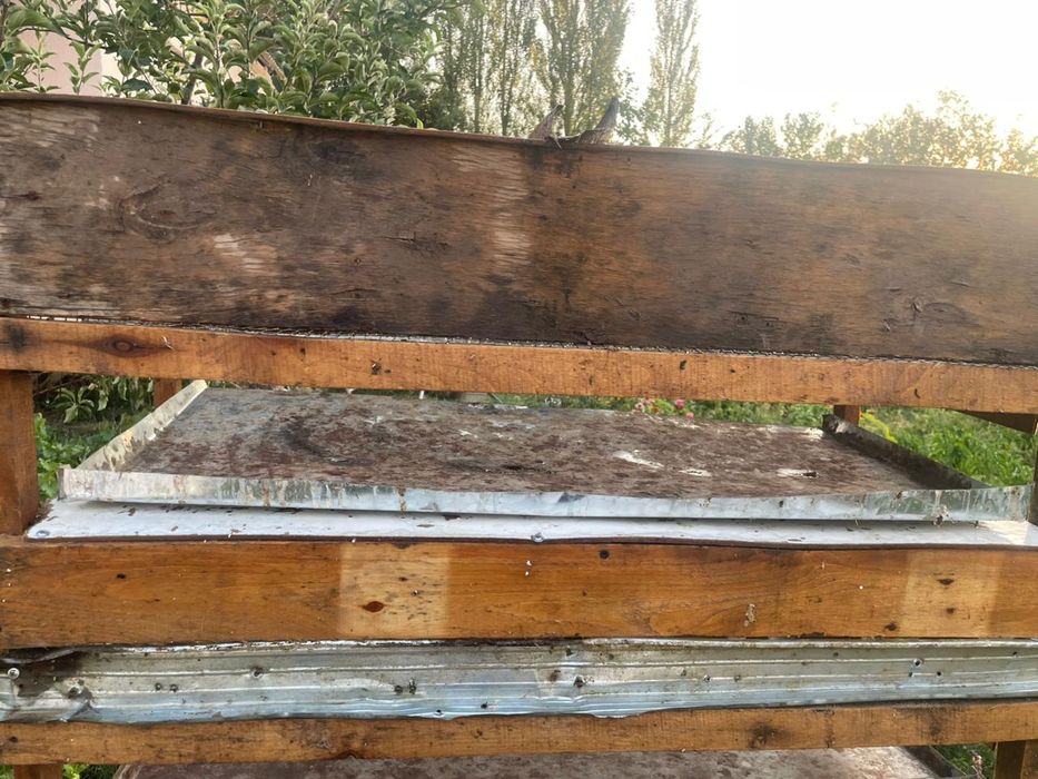 Бодене кора бу/у