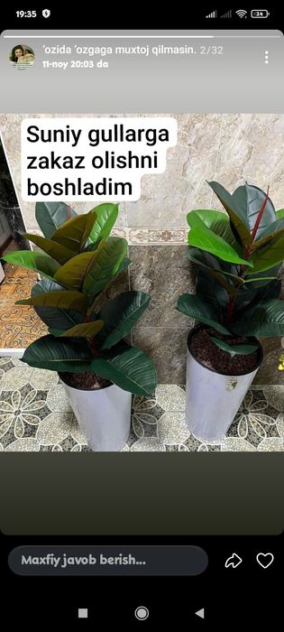 Катта суний гуллар оптом нархларда