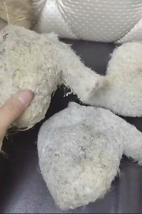 Анальный секс мас орыстармен порно