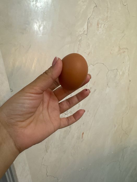 Продам домашние яйца куриные