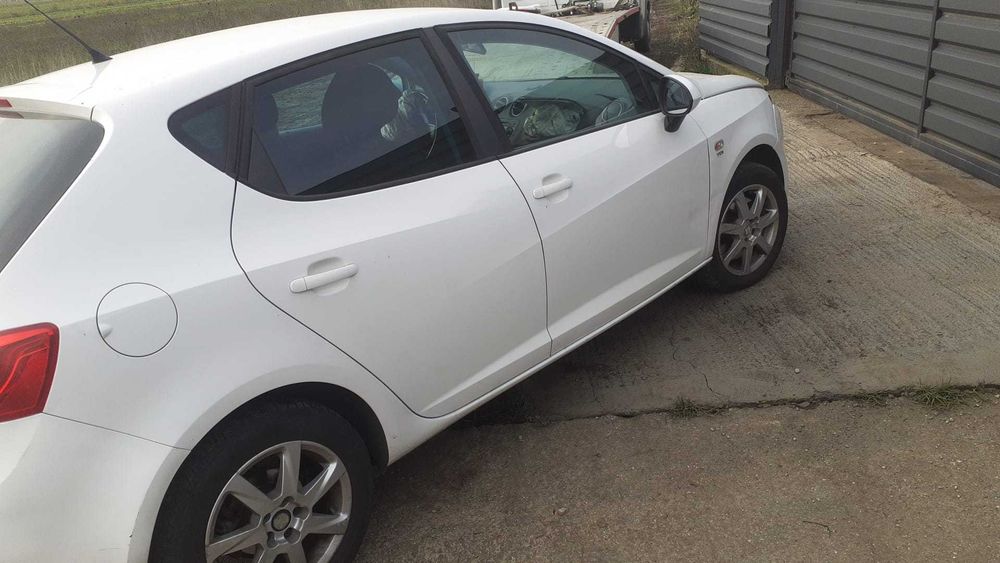Usa dreapta spate Seat Ibiza 6J