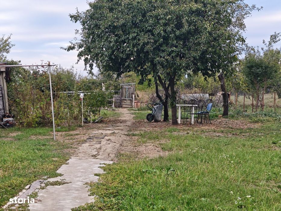 Casa Hintesti