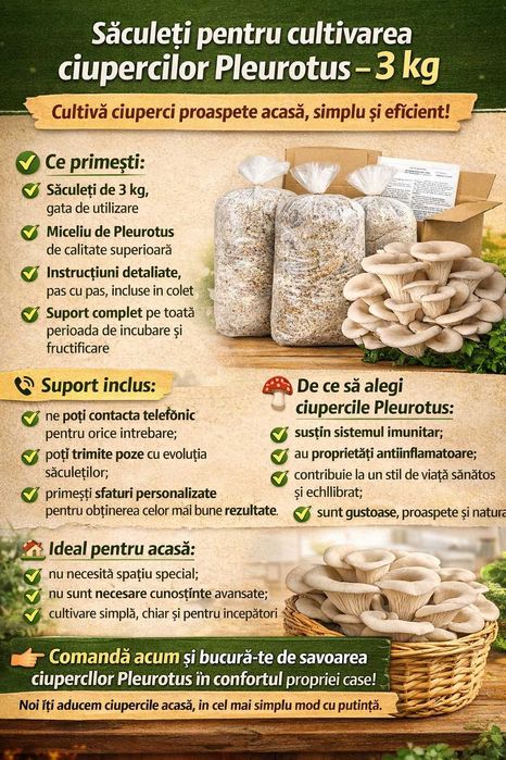 Săculeți pentru cultivarea ciupercilor Pleurotus