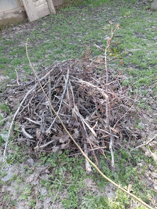 Отын агаш отын агаш