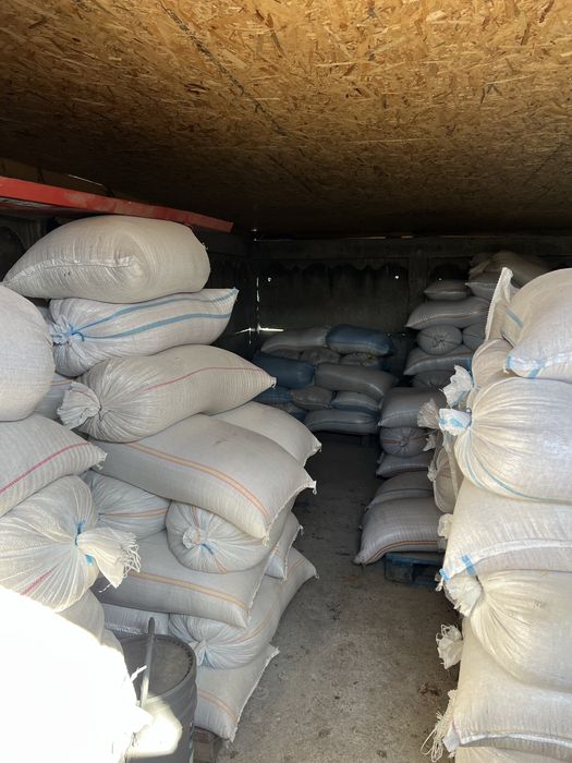 Orz de vanzare 15 lei banița