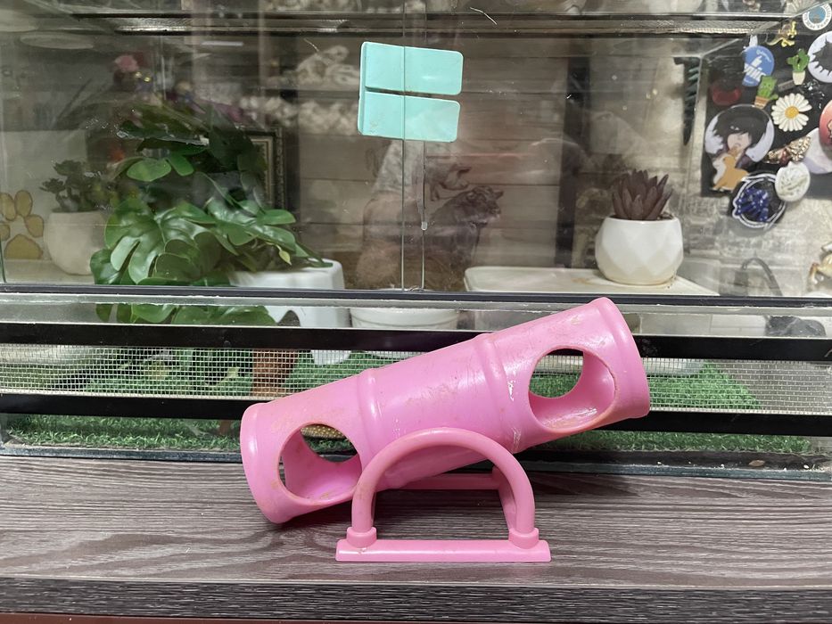 Для хомяка атрибуты