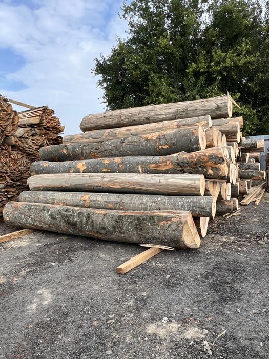 Buștean FAG / Lemn foc FAG