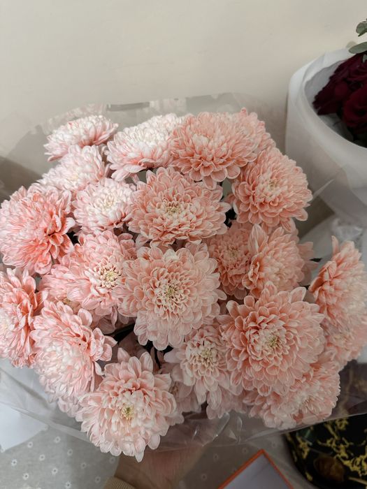 Продается прямо сейчас свежие цветы