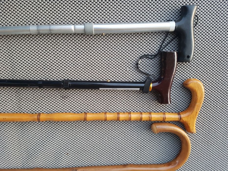 Baston, carje, carji lemn sau telescopice, bete treeking drumetie