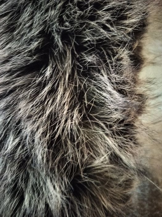 Яка естествен косъм дължина 2 м