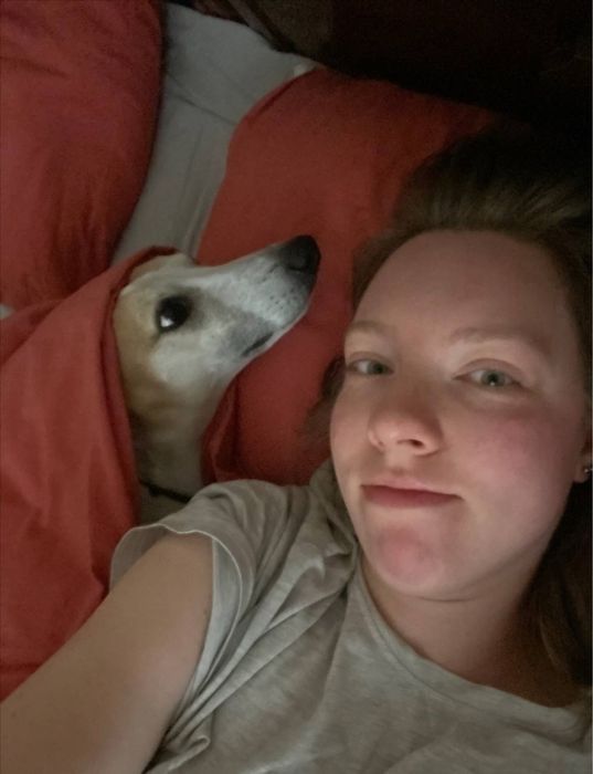 Pet sitter - VIP передержка - присмотр за животными на дому