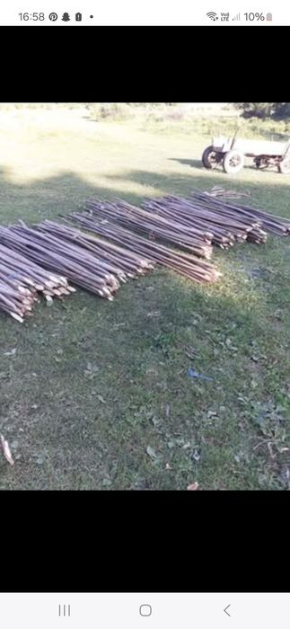 Vând pari de fasole și rosi