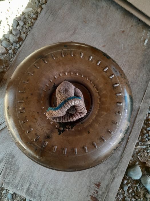 Акпп ауди 4HP18 кватро