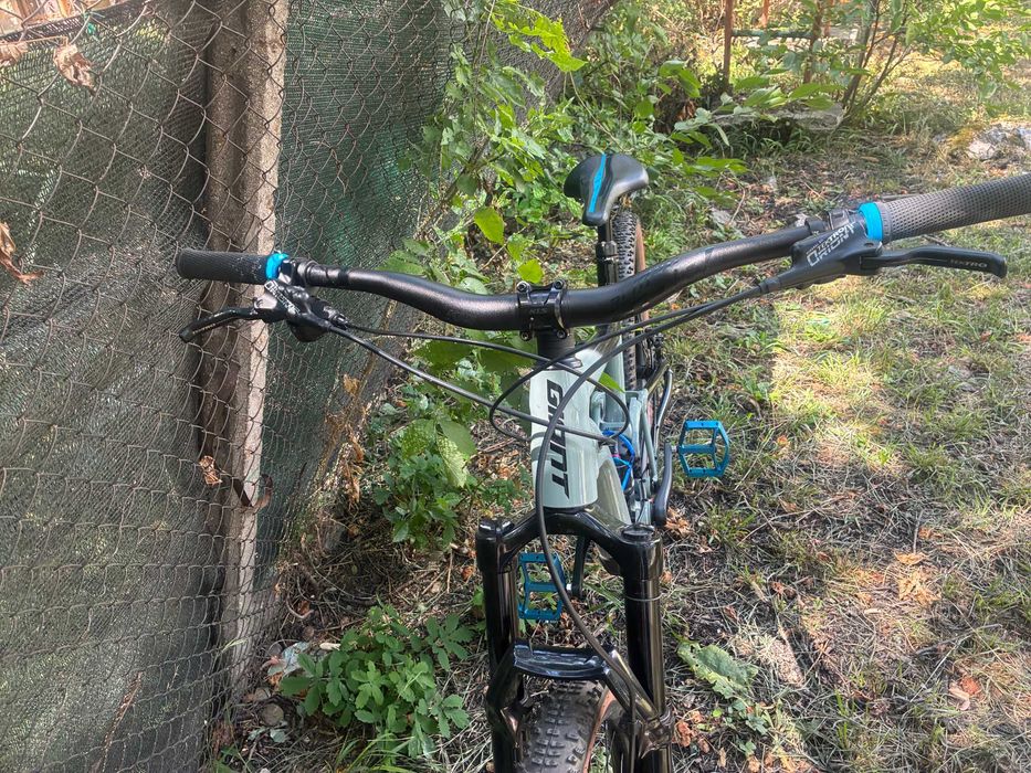 Giant Trance 29'' 2 2023 Мекица