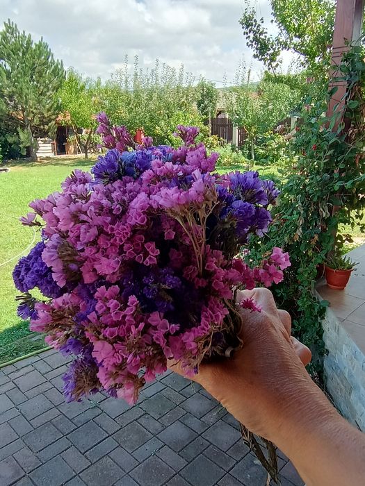 Buchet de flori uscate