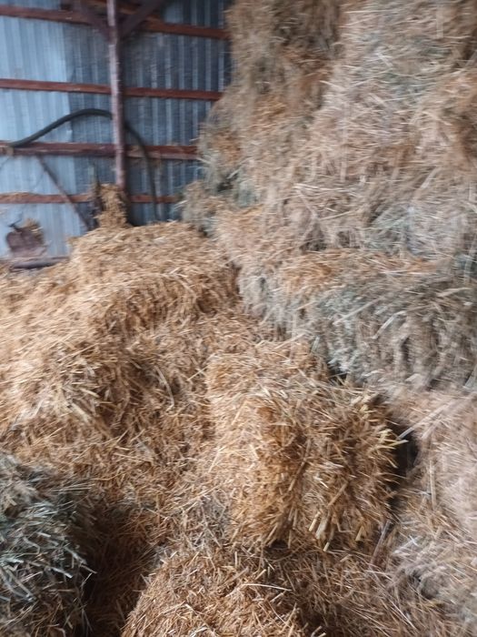 Baloti de paie și fân