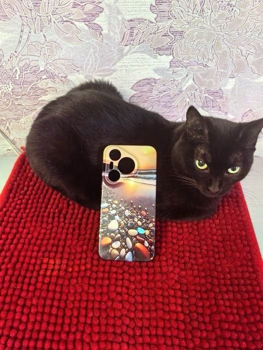 Продаю чехол для смартфона