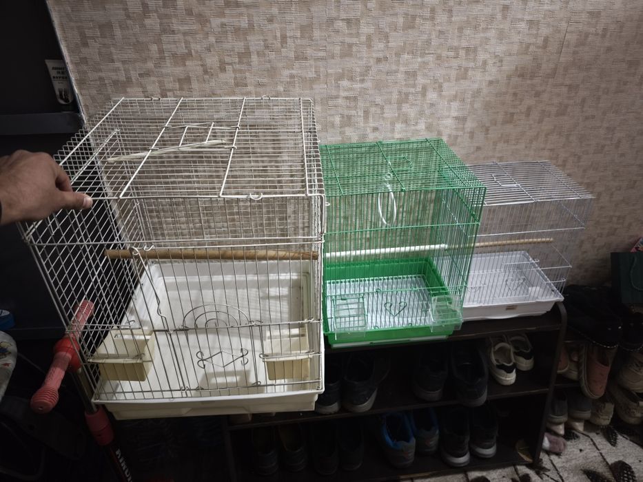 клетки для птицы