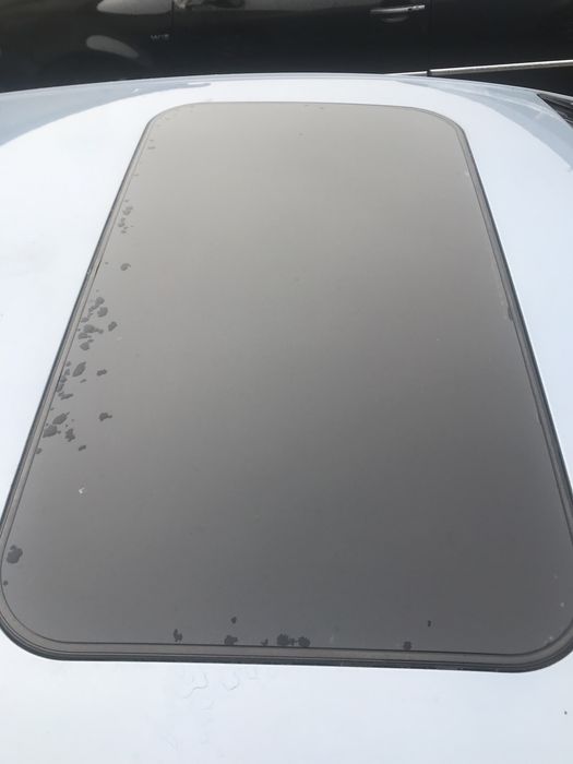 шибидах сеат леон