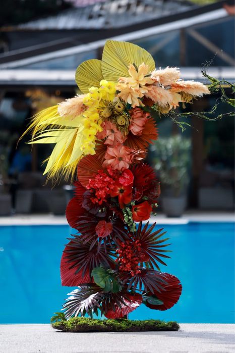 Evenimente complete Nunta/Botez