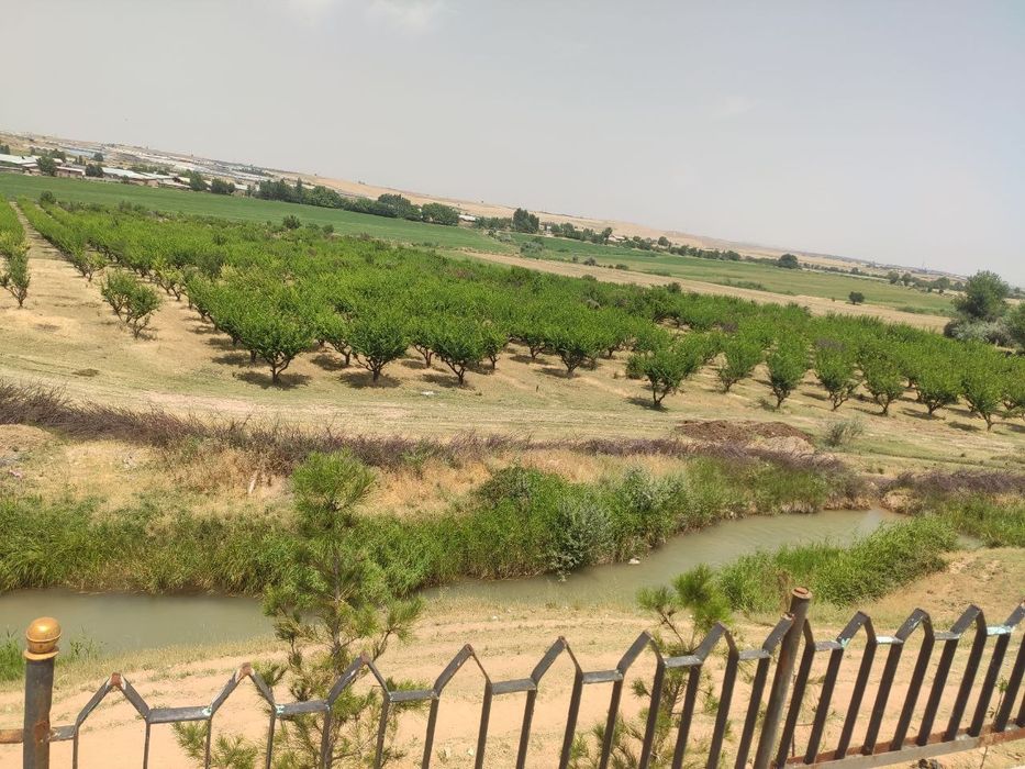 Dacha Hitech Chernevka