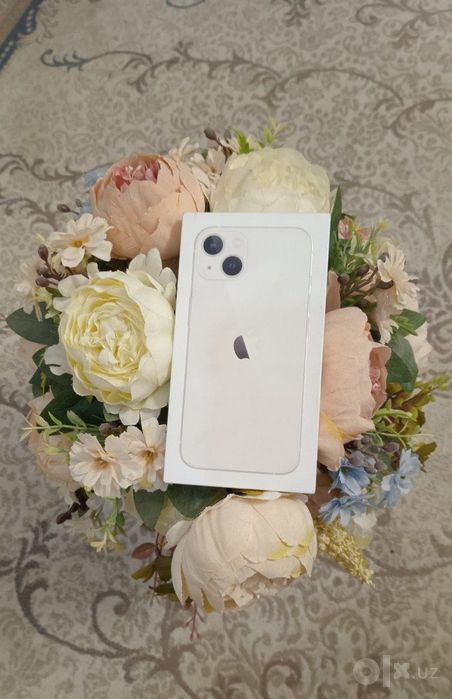 iphone 13 silver