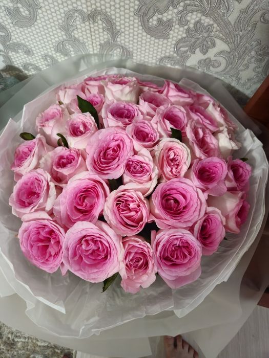 Розы красные и розовые.