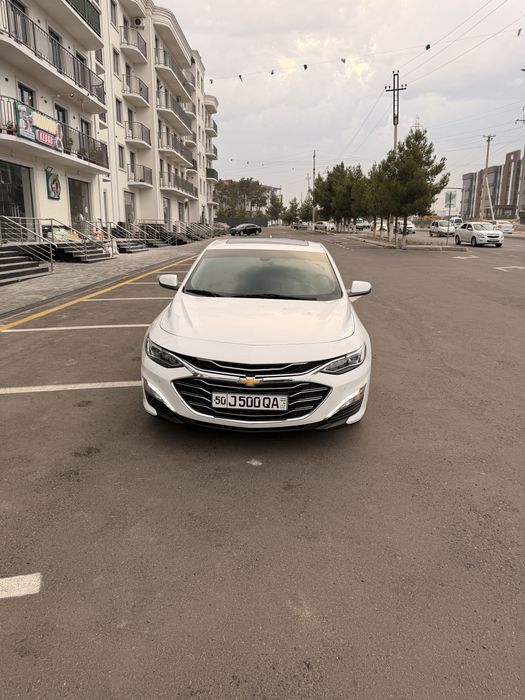 Malibu premier  2021й холти зур