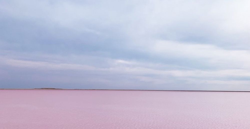 Розовое озеро на один день.