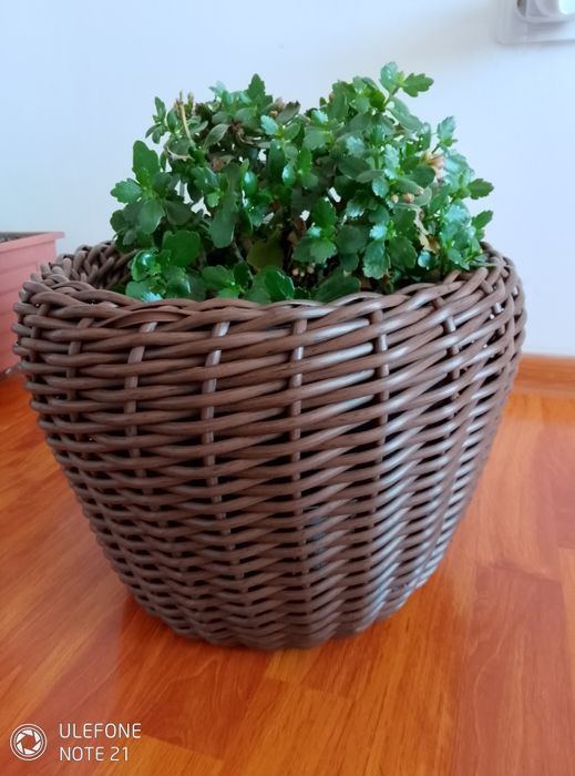 Ghiveci pentru flori din ratan