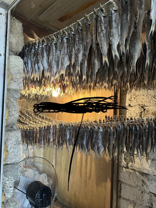 Рыбец малосольный