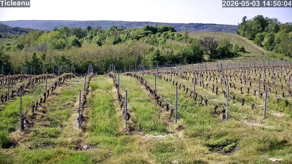 Vând domeniu Viticol si Crama in podgoria Dragasani