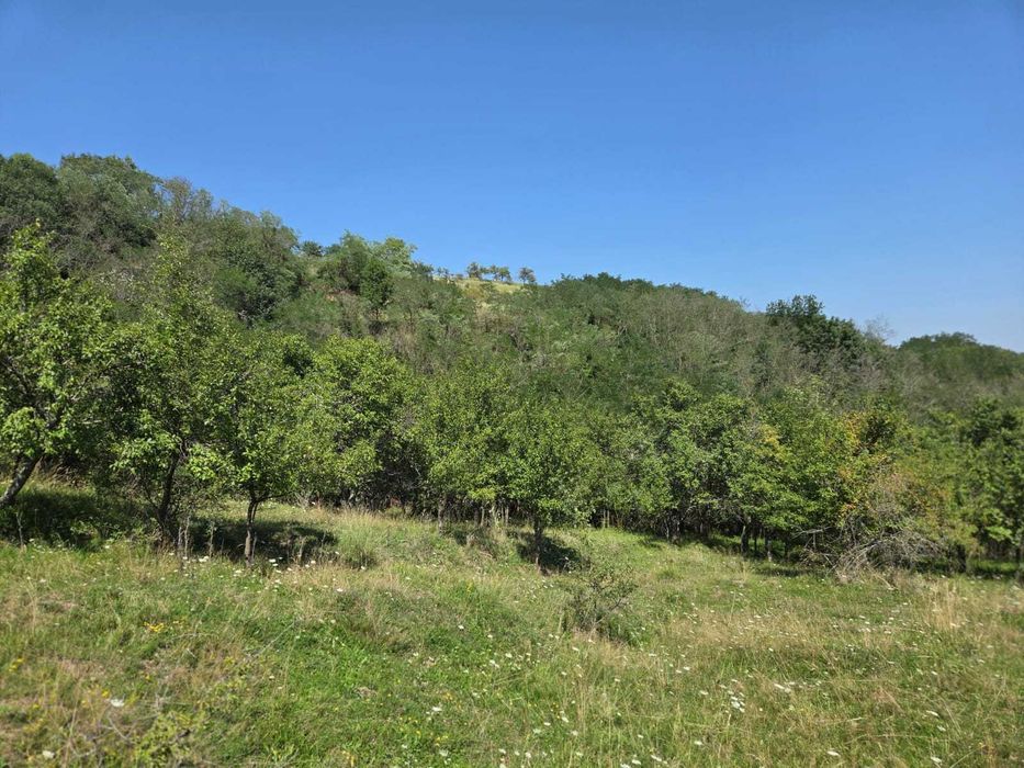 Teren intravilan de vânzare – Cacova Ierii, județul Cluj