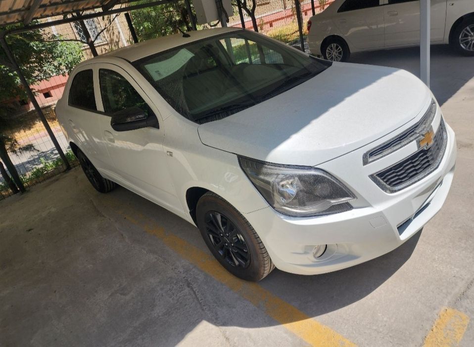 ‼️Coblt Midnicht Masla