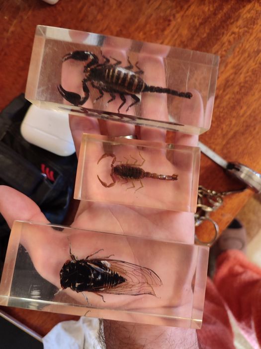 Ювелирные изделия