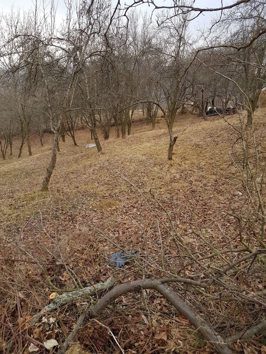 Teren 1700 mp str Glodeanu