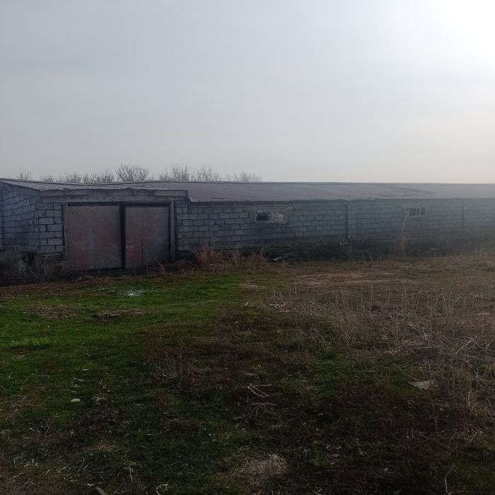 Продам базу для откорма скота